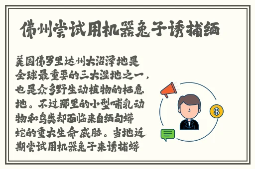 4399影视大全在线观看